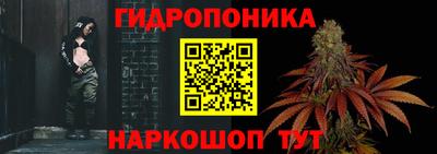 спайс Аргун