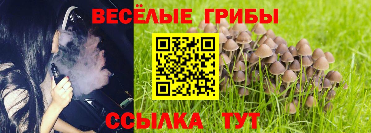 Псилоцибиновые грибы мухоморы Шарыпово